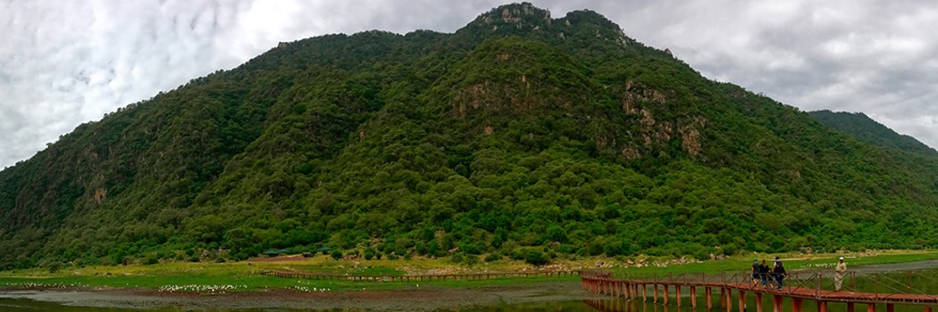 Lake Manyara National Park