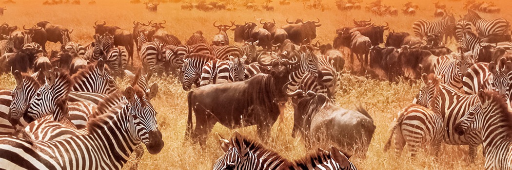 Masai Mara
