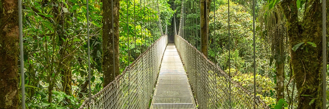 Monteverde