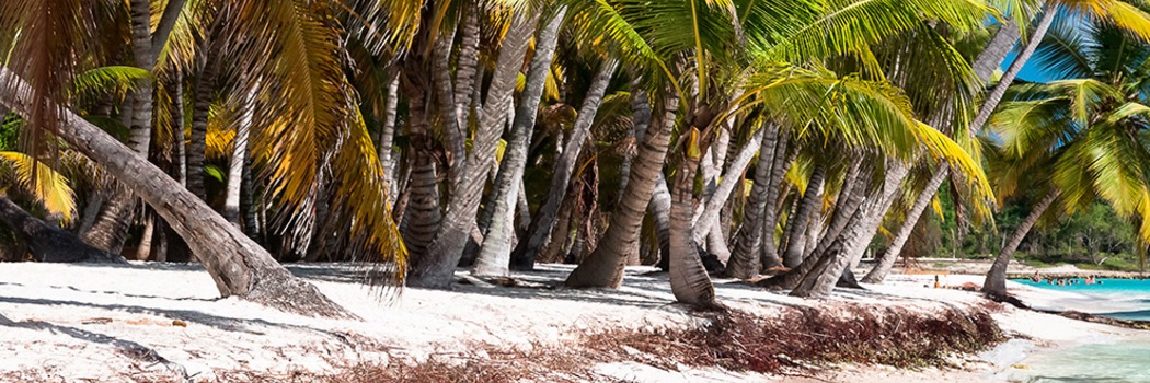 La Romana - Bayahibe
