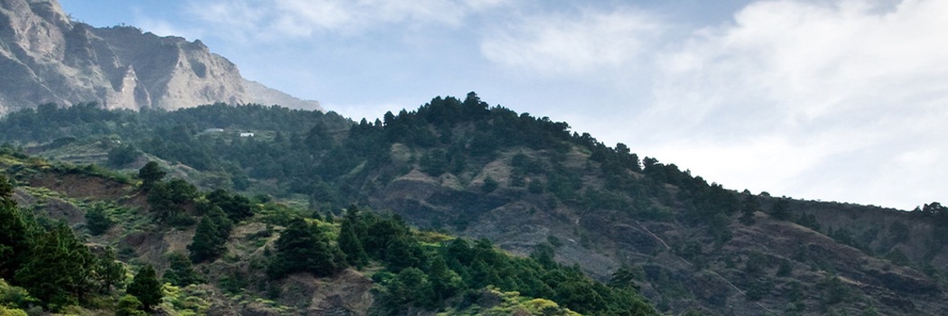 La Palma