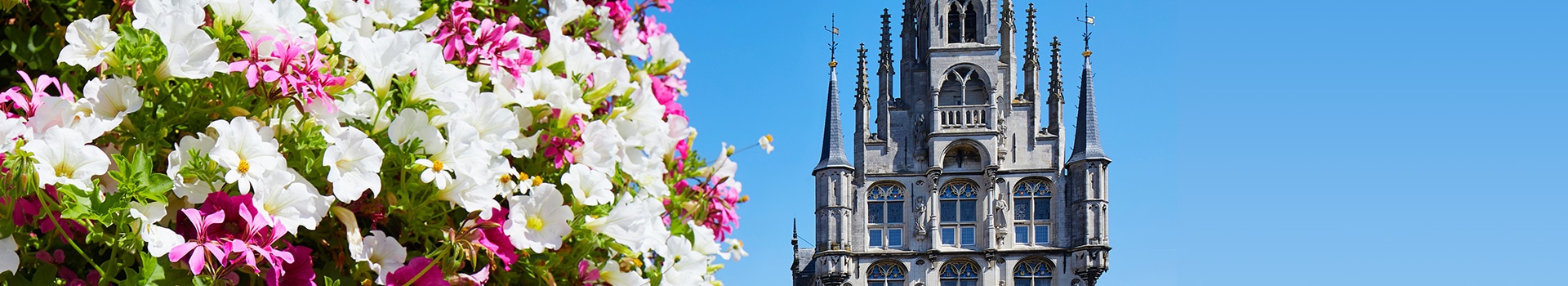 Flight+Hotel deals to **Gouda**