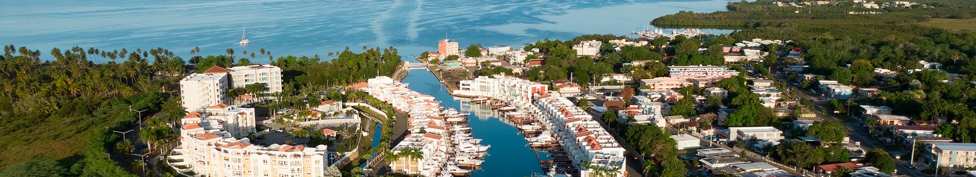 Flight+Hotel deals to **Anchovy**