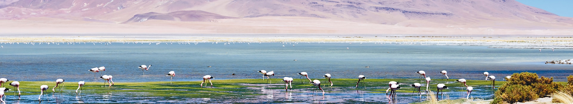 Flight+Hotel deals to **San Pedro De Atacama**