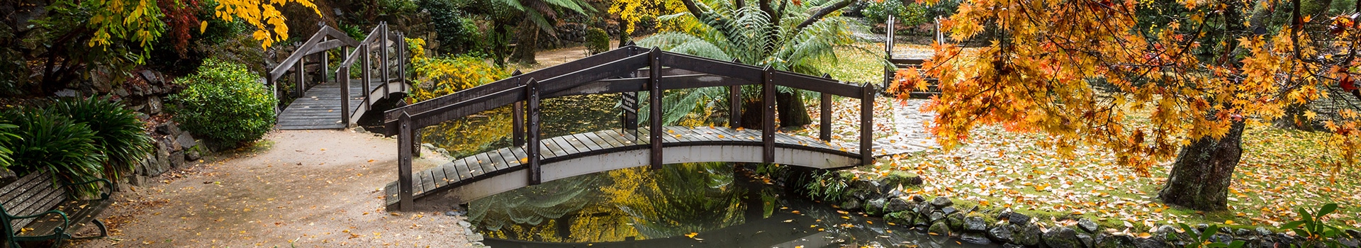 Flight+Hotel deals to **Dandenong VIC**