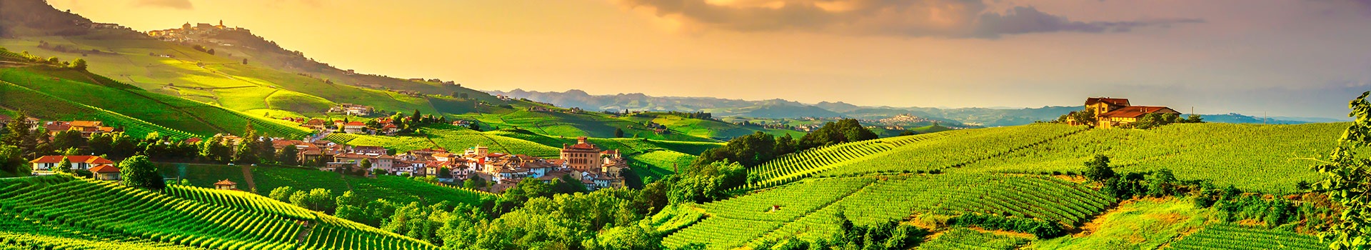 Your holiday to **Barolo Cuneo** starts here