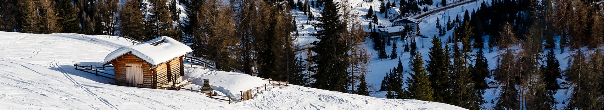 Flight+Hotel deals to **Arabba Belluno**