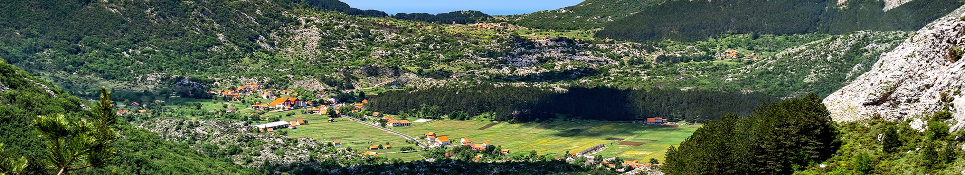 Flight+Hotel deals to **Njeguši**