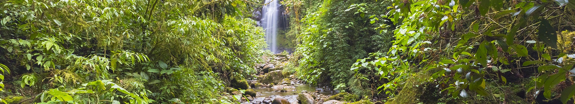 Flight+Hotel deals to **Boquete**