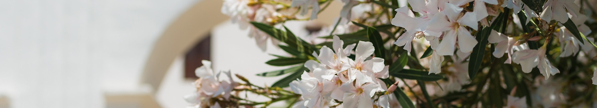 Your holiday to **Sant Miquel de Balansat** starts here