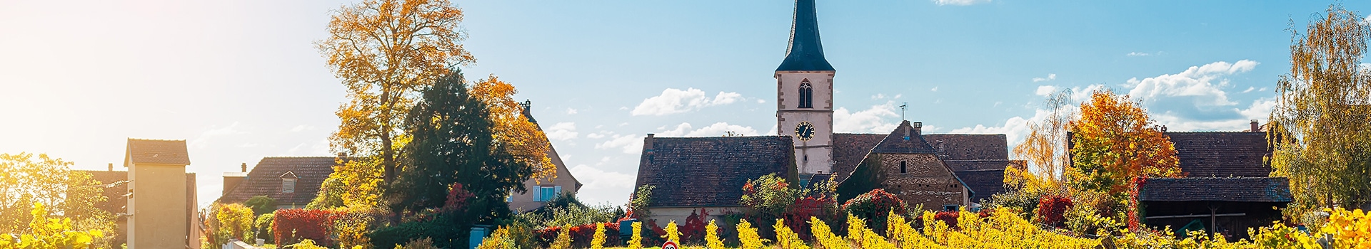 Flight+Hotel deals to **Mittelbergheim**