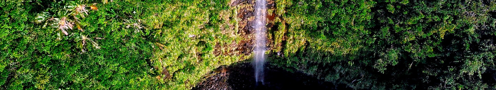 Your holiday to **Black River Gorges National Park** starts here