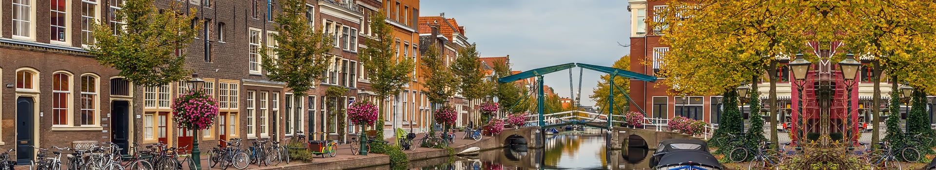 Flight+Hotel deals to **Leiden**