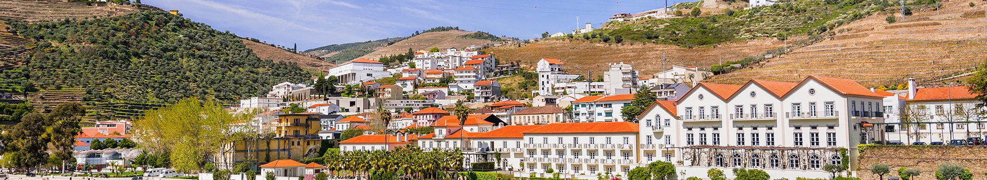 Flight+Hotel deals to **Pinhão**