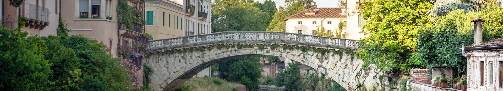 Flight+Hotel deals to **Vicenza**