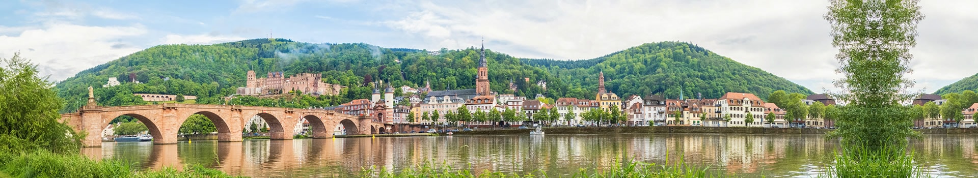 Flight+Hotel deals to **Heidelberg**
