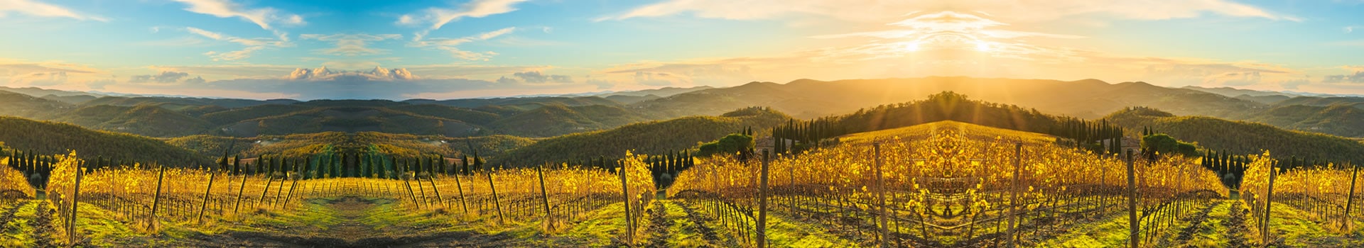 Flight+Hotel deals to **Radda in Chianti**
