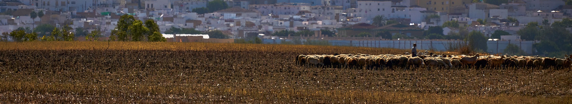 Your holiday to **Villamartín** starts here