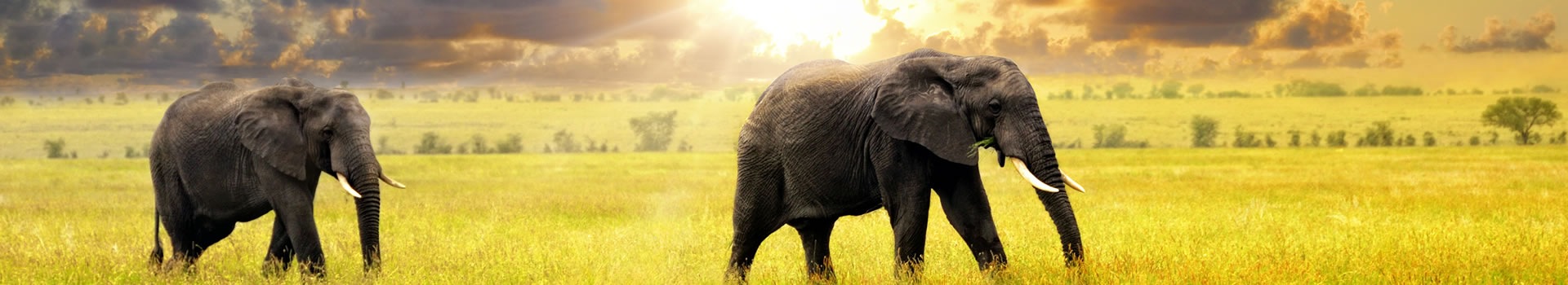 Tanzania Tanzania