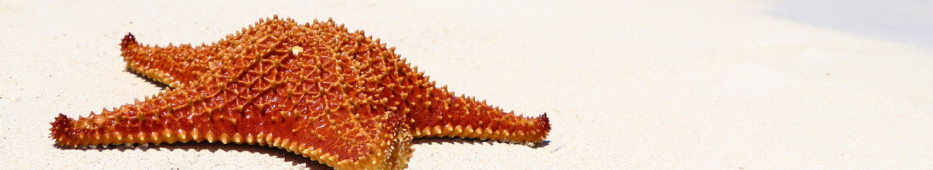 **Your Cayo Ensenachos holiday starts here**
