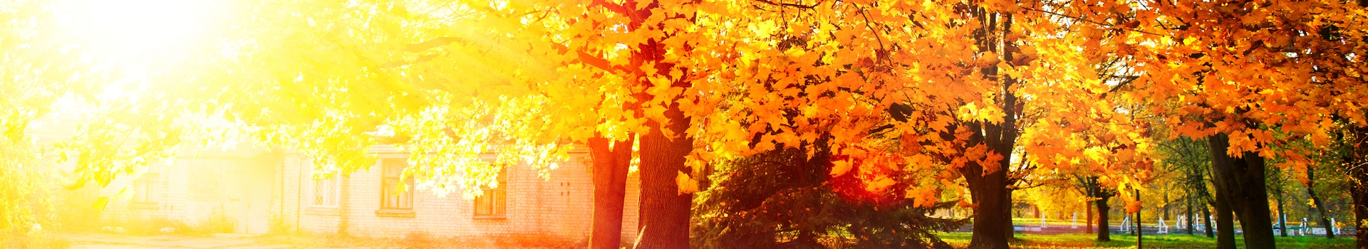 November holiday deals