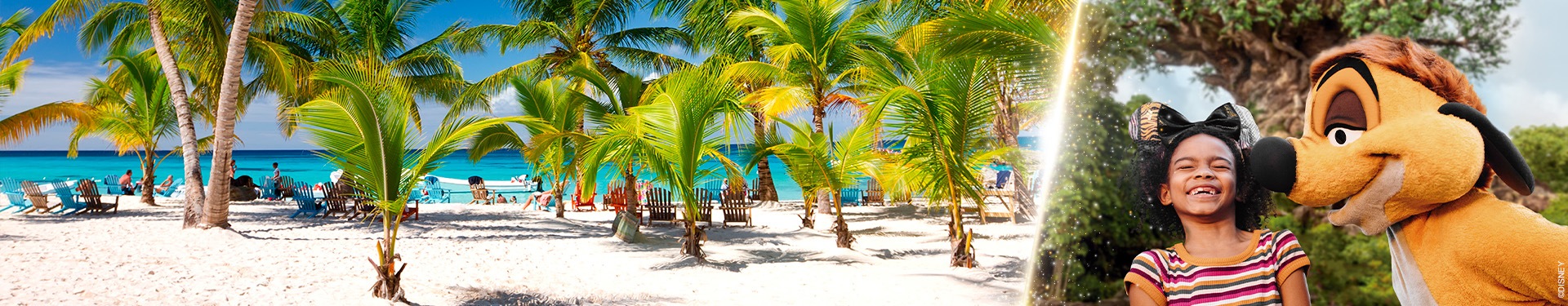 Walt Disney World Orlando and Punta Cana