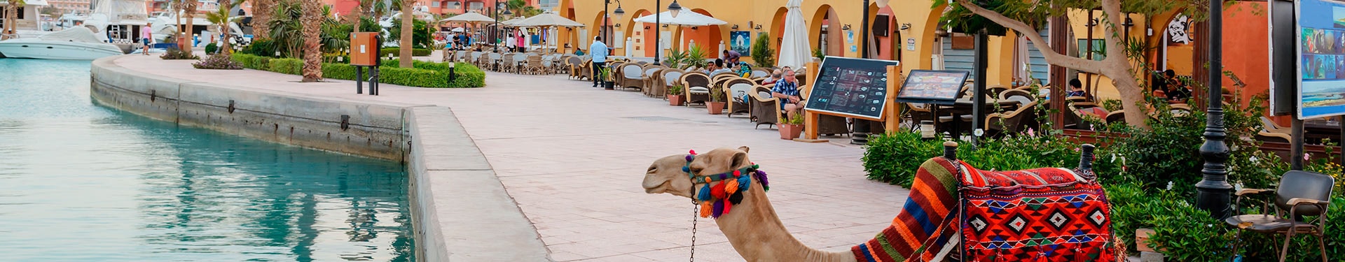 Cairo, 4-night-Cruise and Hurghada