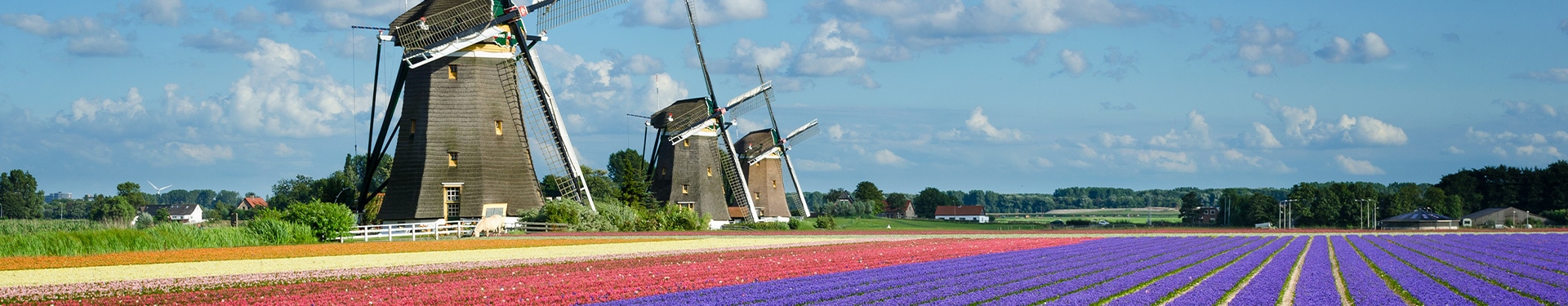 Flower Route