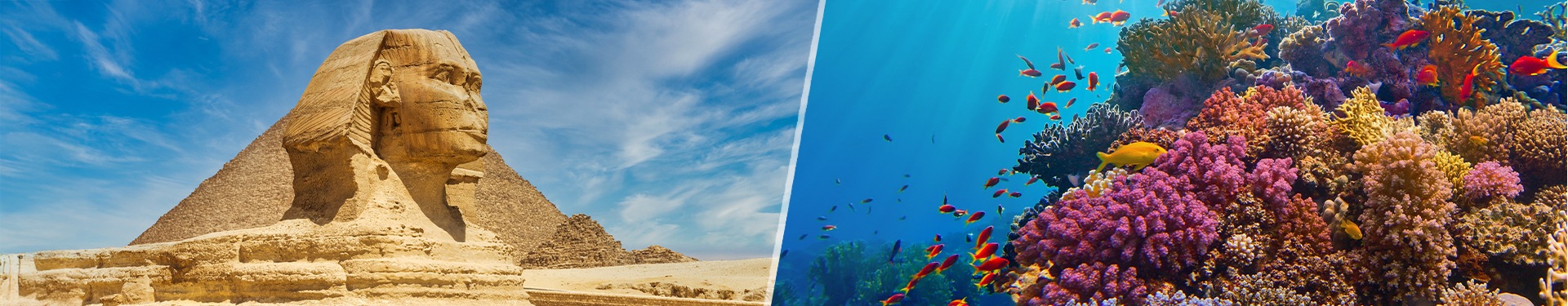 Sharm El Sheikh and Cairo