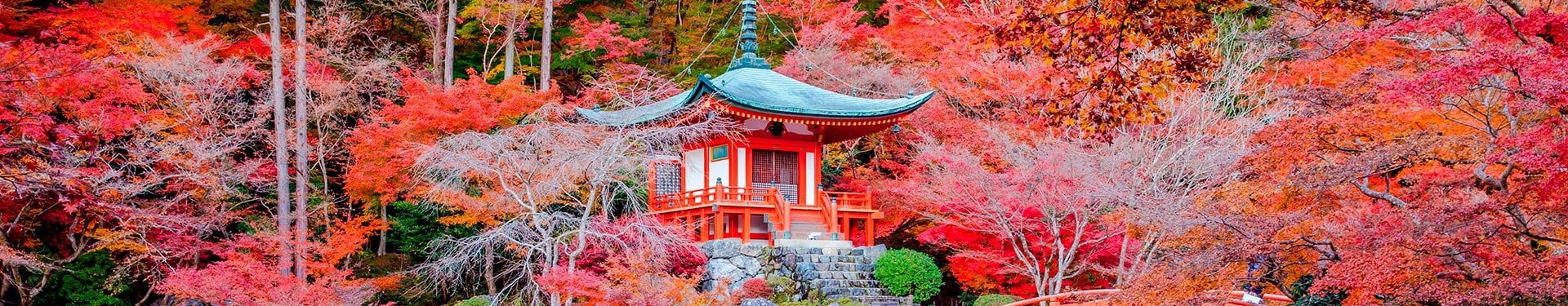 Tokyo, Fuji, Kyoto and Central Japan