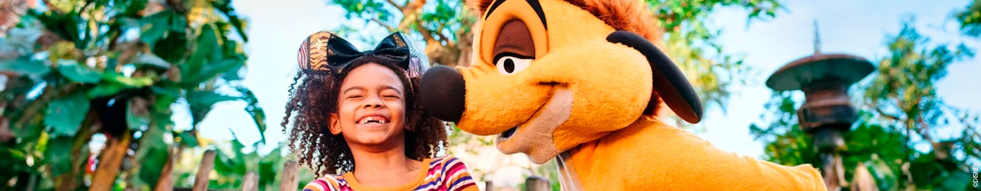 New York, Las Vegas and Walt Disney World Orlando