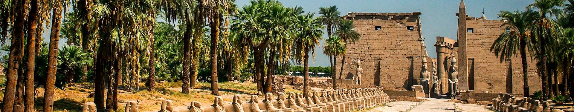 Road trip from Cairo to Abu Simbel