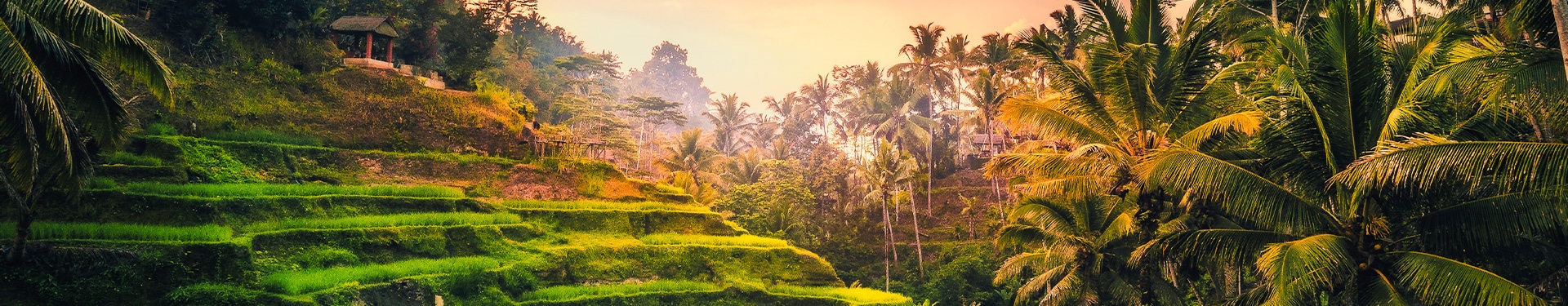 Singapore, Lovina, Candidasa, Ubud and Beaches of South Bali