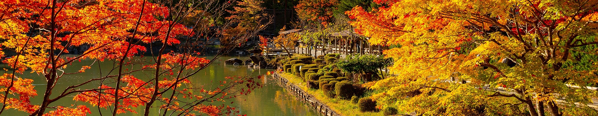 Osaka, Kyoto, Takayama, Tokyo and Okinawa