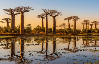 Madagascar Madagascar