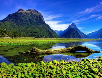 New Zealand New Zealand