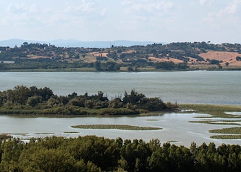 Chiusi