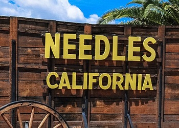 Needles - Ca