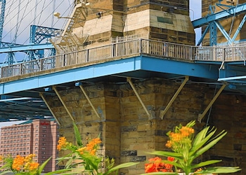 Cincinnati - Oh