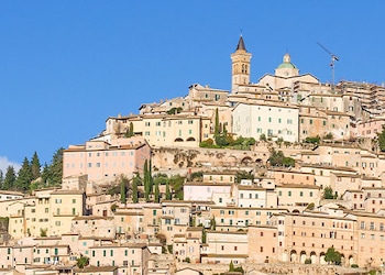 Todi
