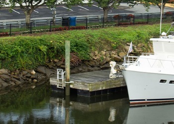 Lewes - De