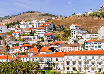 Pinhão