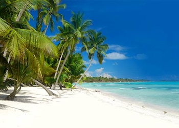 Bavaro
