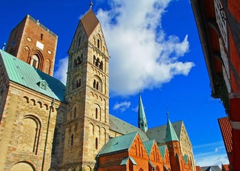 Ribe