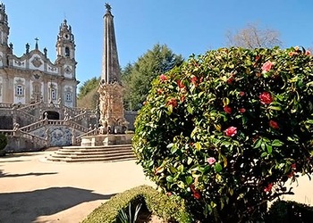 Lamego