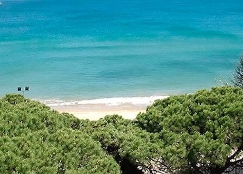 La Pineda