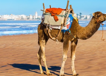 Essaouira