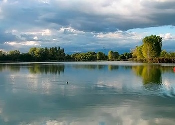 Treviso