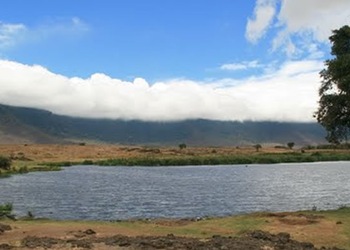 Ngorongoro