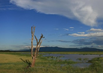 Lake Manyara National Park